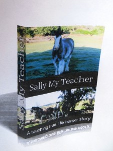 Sally Book Cover 1